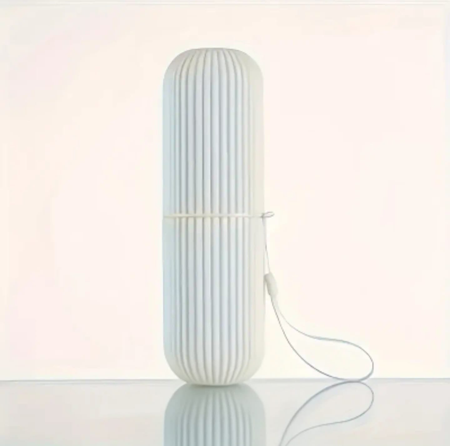 Portable toothbrush travel case, hygienic leakproof design, blue